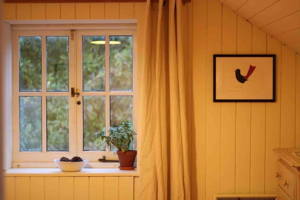 Trinity Annexe An Adorable First Floor Light And Lofty Space Within An Aonb 戈德曼斯通 外观 照片